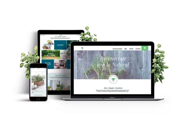diseño web3